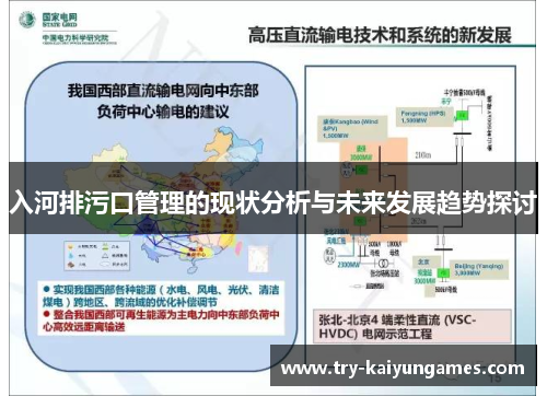 入河排污口管理的现状分析与未来发展趋势探讨