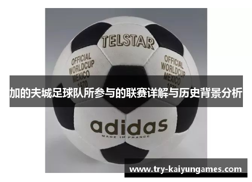 加的夫城足球队所参与的联赛详解与历史背景分析 加的夫城足球队所参与的联赛详解与历史背景分析